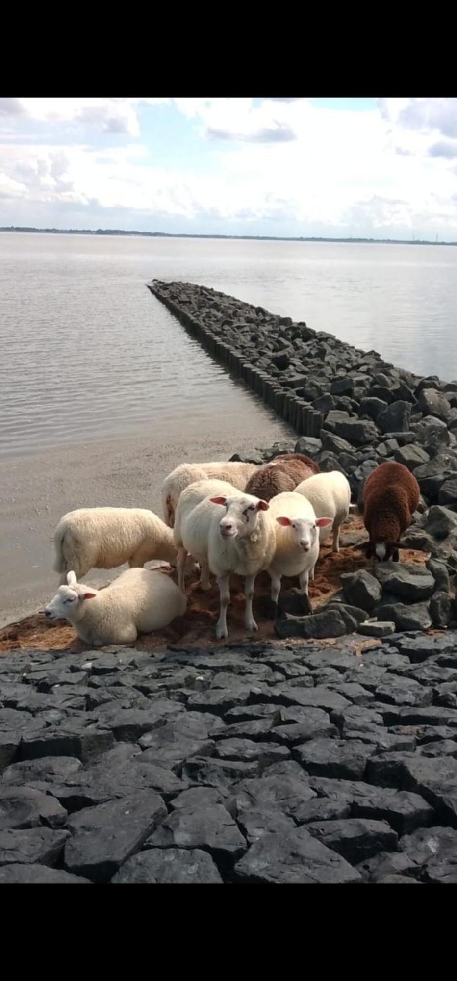 Am Alten Siel Wilhelmshaven Bagian luar foto